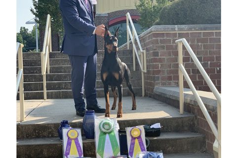 Schohaus Let The Sunshine In