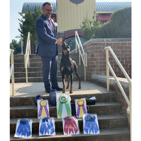 Schohaus Let The Sunshine In