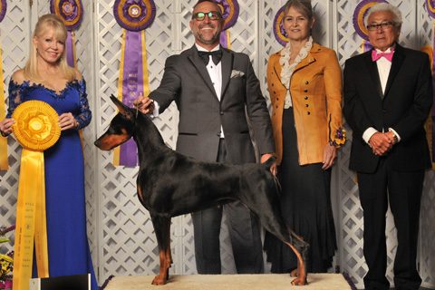 Schohaus Let the Sunshine In Top 20